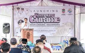 Wabup Ciamis Launching “Kampun...